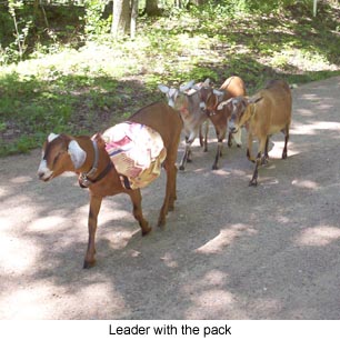otisleaderwithpack 2005-08-20.jpg