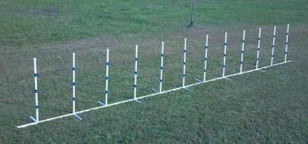 Weave Poles Cat Agility