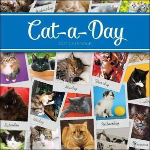 Cat Calendar