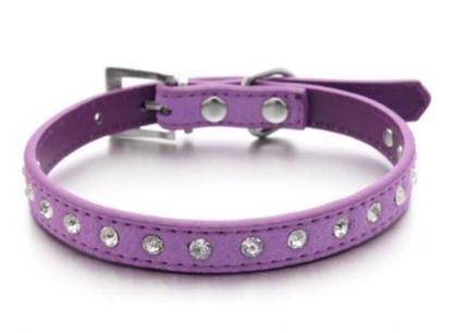 Cat Collar