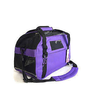 Purple Cat Carrier for Mrs. Dillion