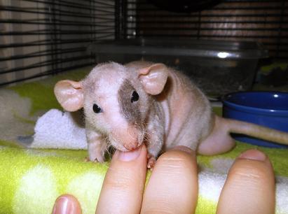 Baby Dean cleaning his Momma's fingernails!